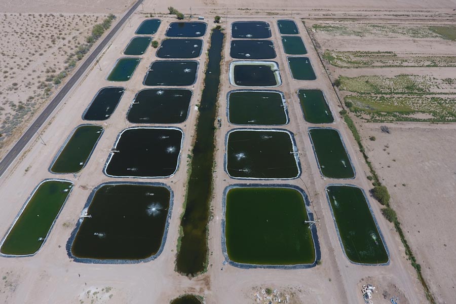 Aerial photo of Infinity Blue Desert Springs pools